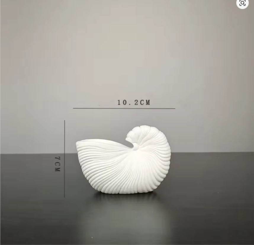Coastal Shell Ceramic Vase β For Homes That Feel Like Peace πβ¨