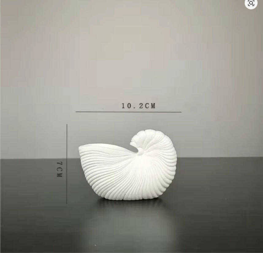 Coastal Shell Ceramic Vase β For Homes That Feel Like Peace πβ¨