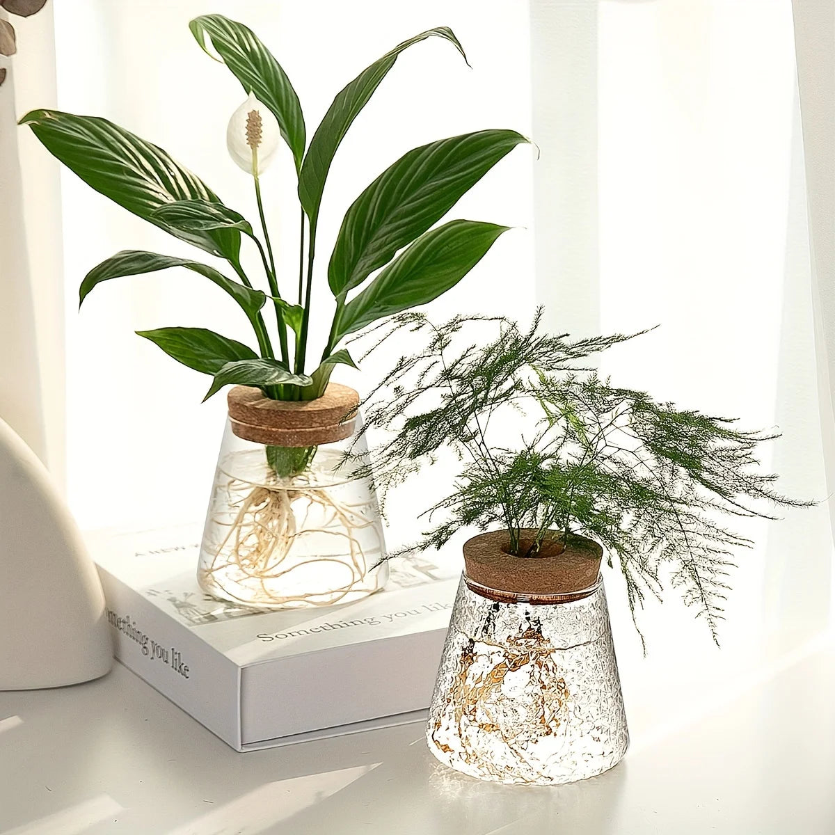 Minimalist Glass Hydroponic Planter Vase with Cork Lid – Ideal for Cuttings & Tabletop Decor