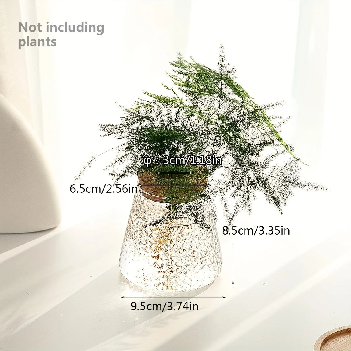 Minimalist Glass Hydroponic Planter Vase with Cork Lid – Ideal for Cuttings & Tabletop Decor