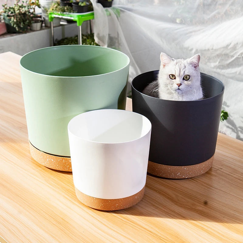 Modern Circular Indoor Plant Pot with Tray – Succulent & Bonsai Planter for Home Decor