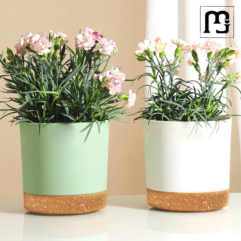Modern Circular Indoor Plant Pot with Tray – Succulent & Bonsai Planter for Home Decor