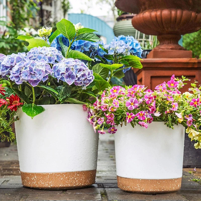 Modern Circular Indoor Plant Pot with Tray – Succulent & Bonsai Planter for Home Decor