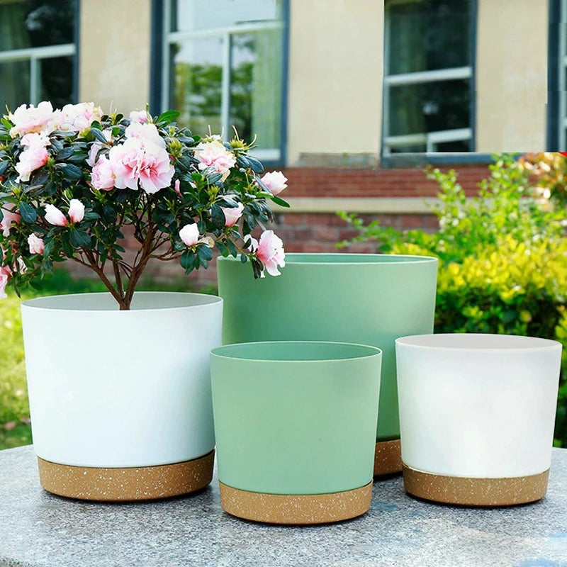 Modern Circular Indoor Plant Pot with Tray – Succulent & Bonsai Planter for Home Decor