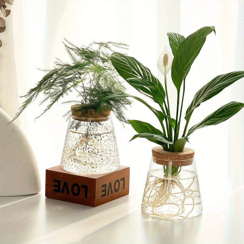 Minimalist Glass Hydroponic Planter Vase with Cork Lid – Ideal for Cuttings & Tabletop Decor