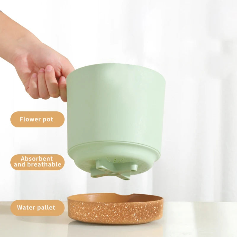 Modern Circular Indoor Plant Pot with Tray – Succulent & Bonsai Planter for Home Decor