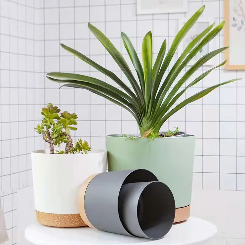 Modern Circular Indoor Plant Pot with Tray – Succulent & Bonsai Planter for Home Decor