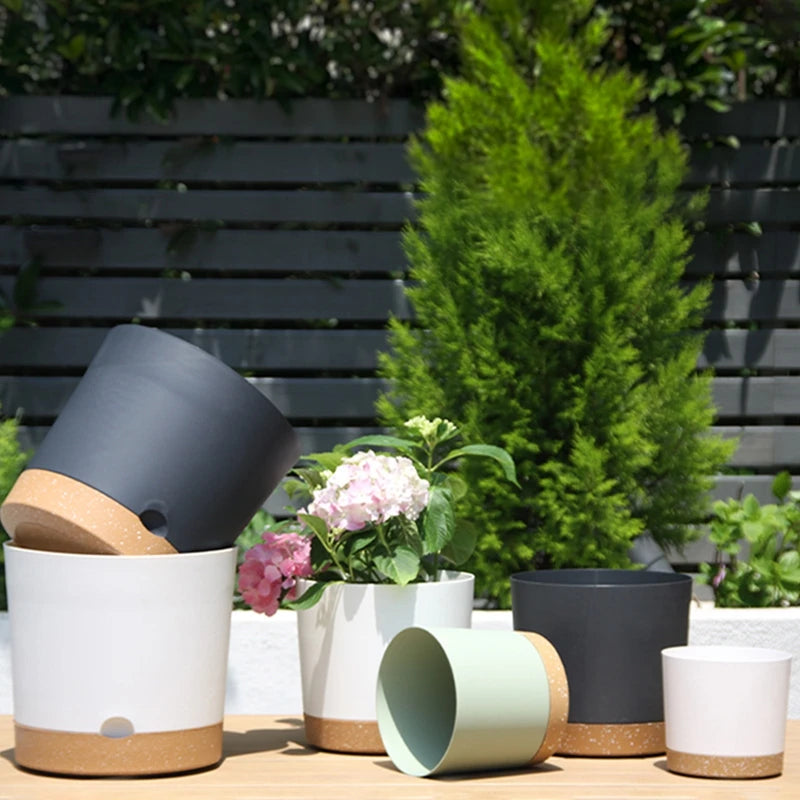 Modern Circular Indoor Plant Pot with Tray – Succulent & Bonsai Planter for Home Decor