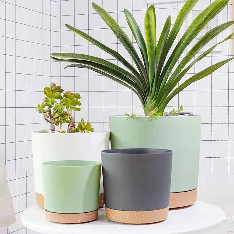 Modern Circular Indoor Plant Pot with Tray – Succulent & Bonsai Planter for Home Decor