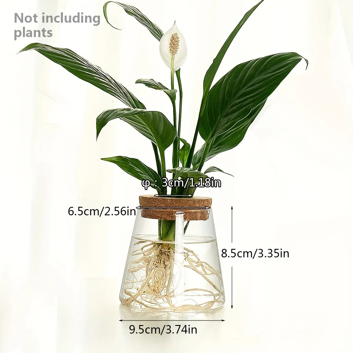 Minimalist Glass Hydroponic Planter Vase with Cork Lid – Ideal for Cuttings & Tabletop Decor