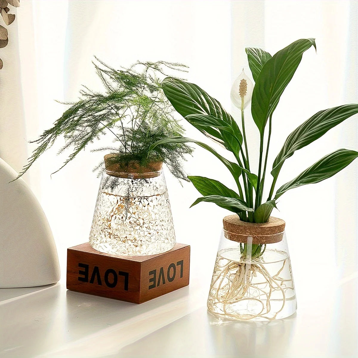 Minimalist Glass Hydroponic Planter Vase with Cork Lid – Ideal for Cuttings & Tabletop Decor