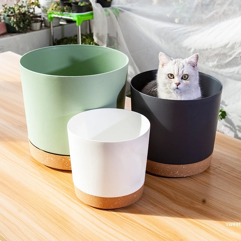 Modern Circular Indoor Plant Pot with Tray – Succulent & Bonsai Planter for Home Decor