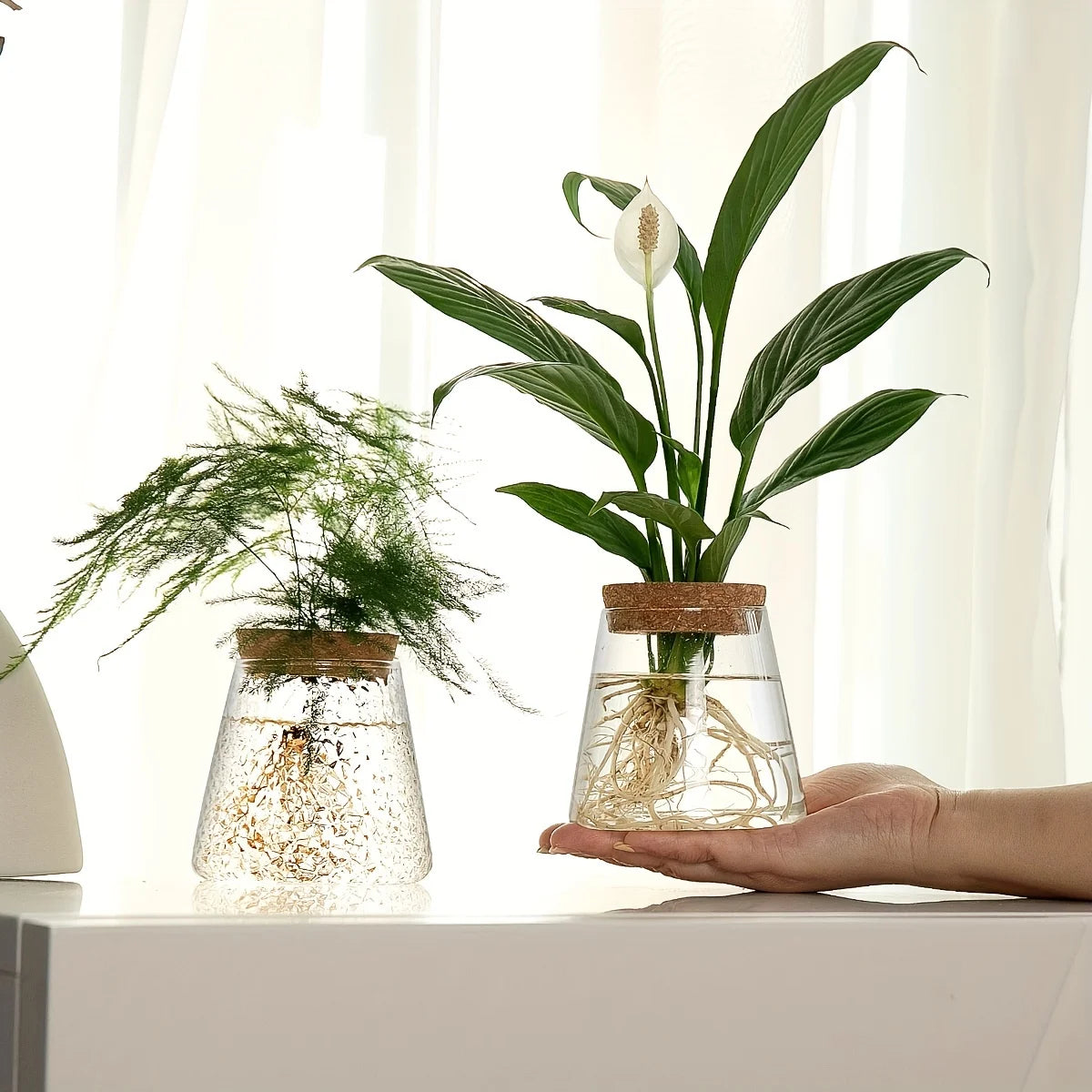 Minimalist Glass Hydroponic Planter Vase with Cork Lid – Ideal for Cuttings & Tabletop Decor