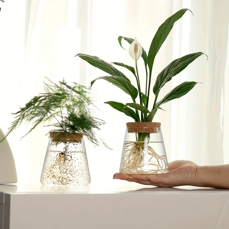 Minimalist Glass Hydroponic Planter Vase with Cork Lid – Ideal for Cuttings & Tabletop Decor