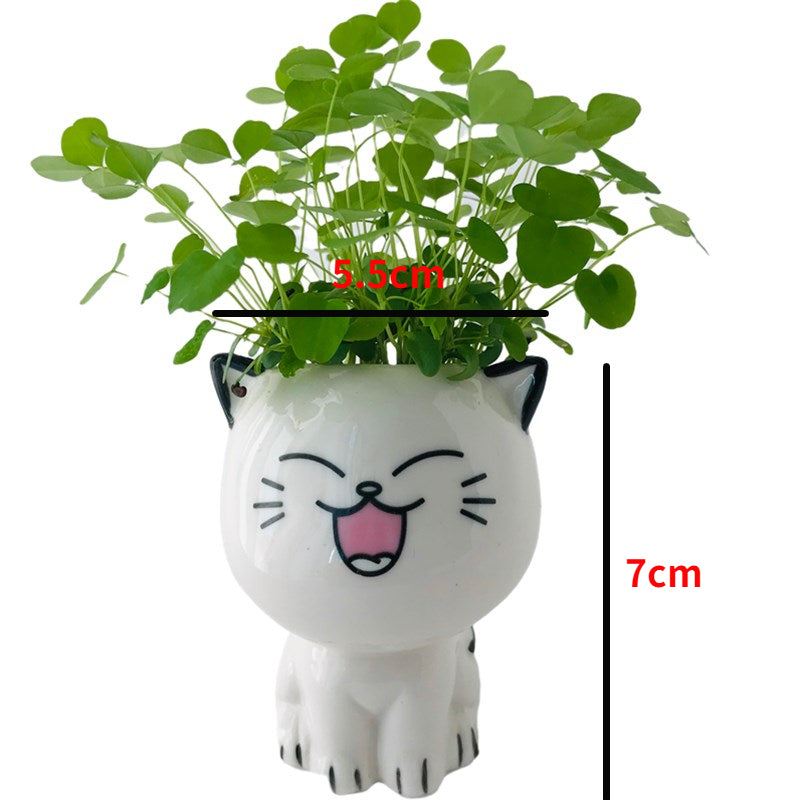 Mini Cat Ceramic Planter – Cute Cartoon Flower Pot for Desktop Decor & Gifting
