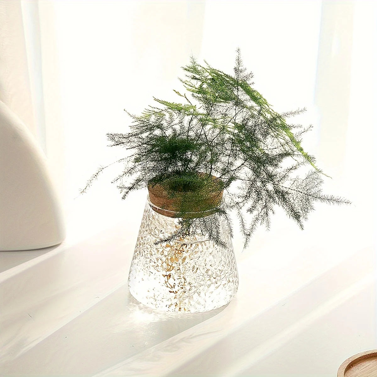 Minimalist Glass Hydroponic Planter Vase with Cork Lid – Ideal for Cuttings & Tabletop Decor