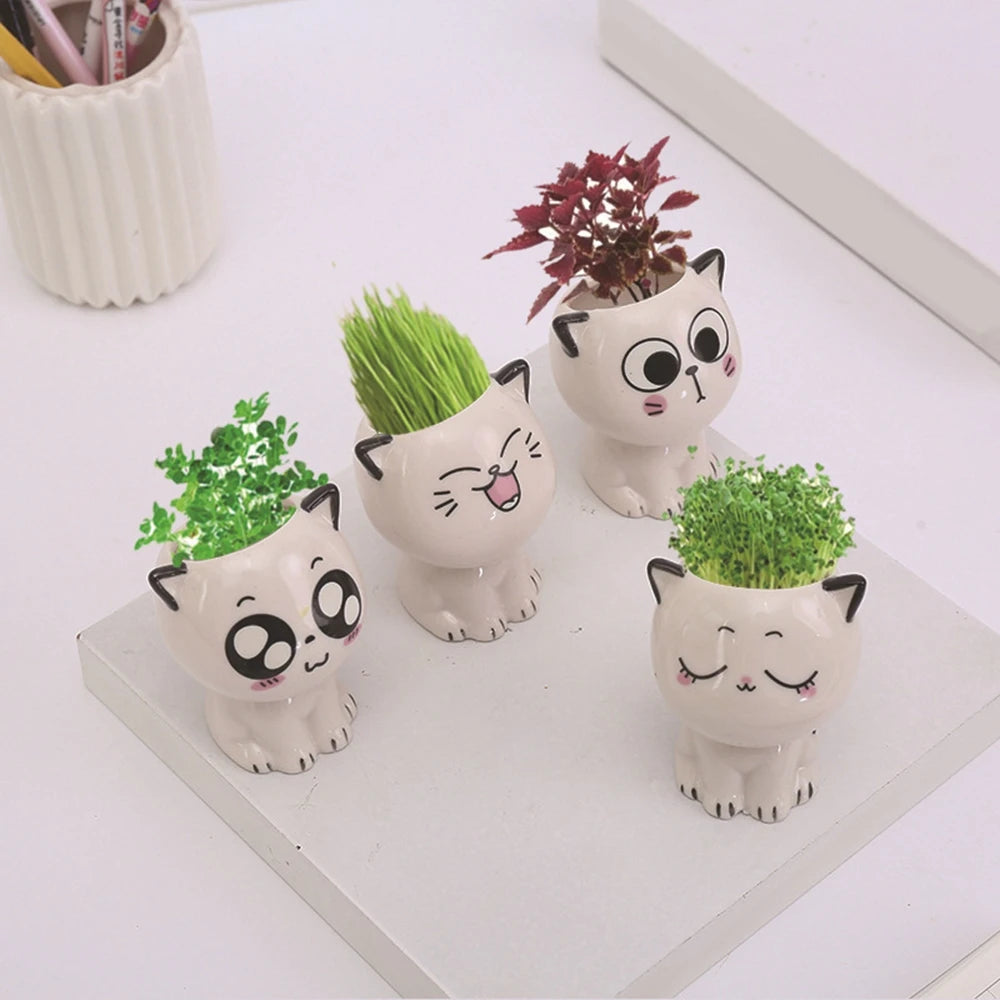 Mini Cat Ceramic Planter – Cute Cartoon Flower Pot for Desktop Decor & Gifting