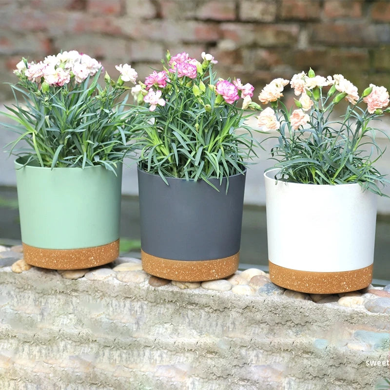 Modern Circular Indoor Plant Pot with Tray – Succulent & Bonsai Planter for Home Decor