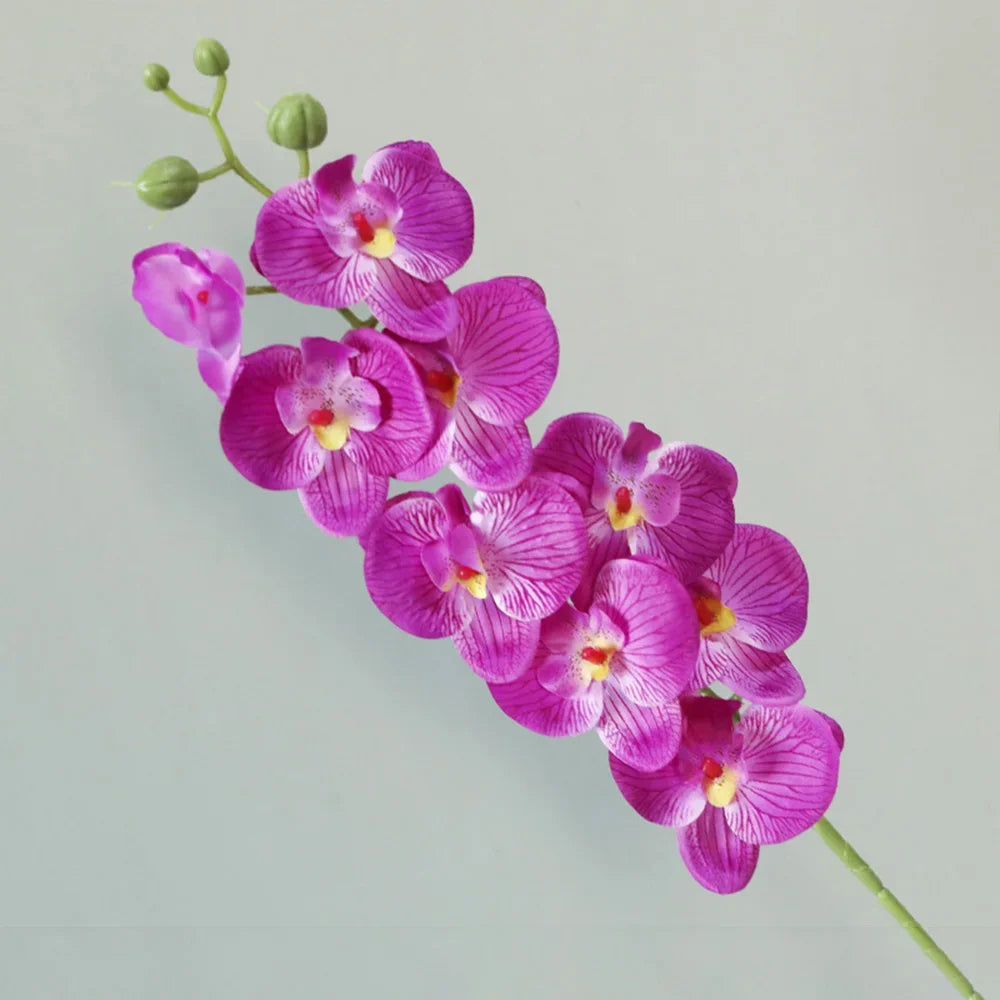 69cm Artificial Orchid Stem – Real Touch Faux Phalaenopsis for Elegant Floral Decor