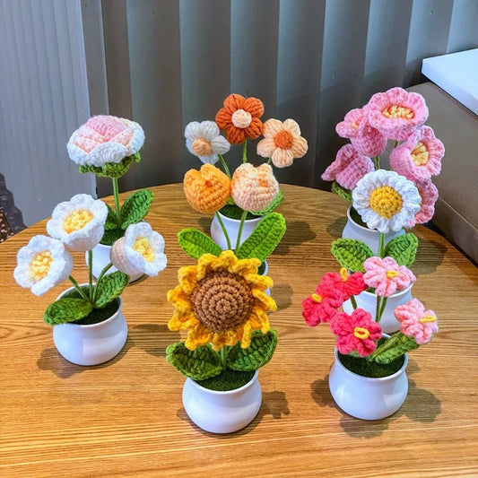 DIY Handwoven Woolen Mini Potted Flower – Cute Desk Decor & Gift