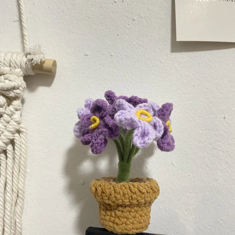 DIY Handwoven Woolen Mini Potted Flower – Cute Desk Decor & Gift