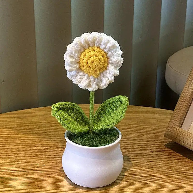 DIY Handwoven Woolen Mini Potted Flower – Cute Desk Decor & Gift