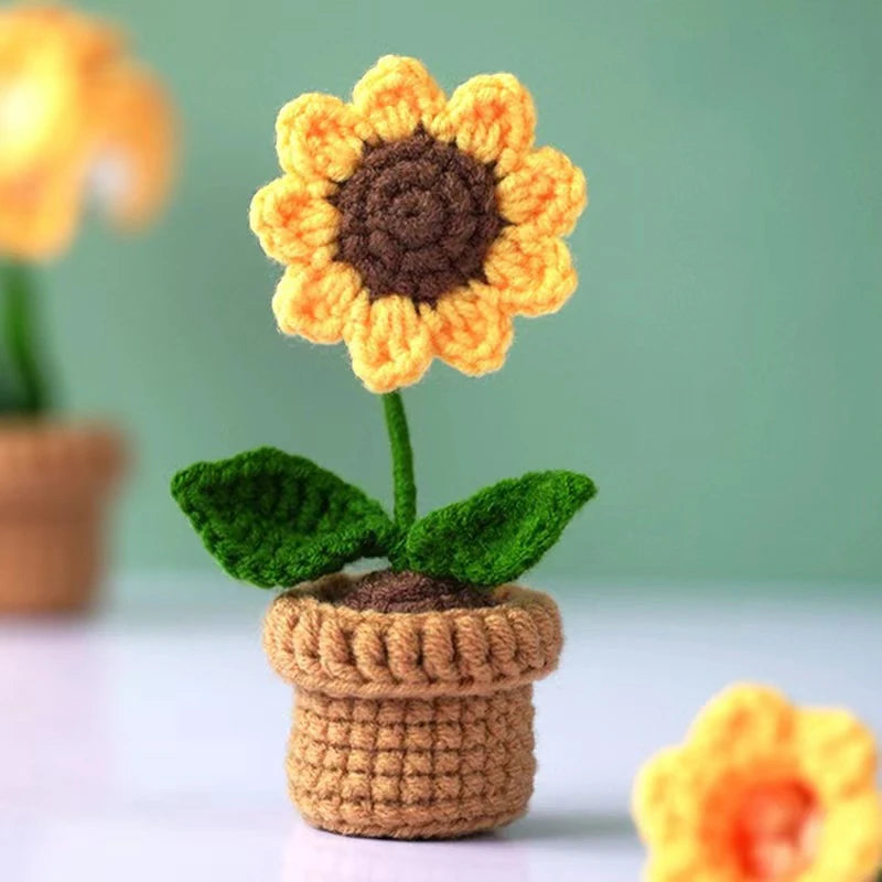 DIY Handwoven Woolen Mini Potted Flower – Cute Desk Decor & Gift