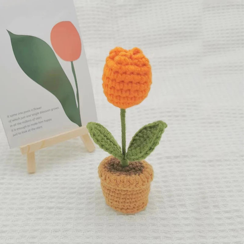 DIY Handwoven Woolen Mini Potted Flower – Cute Desk Decor & Gift