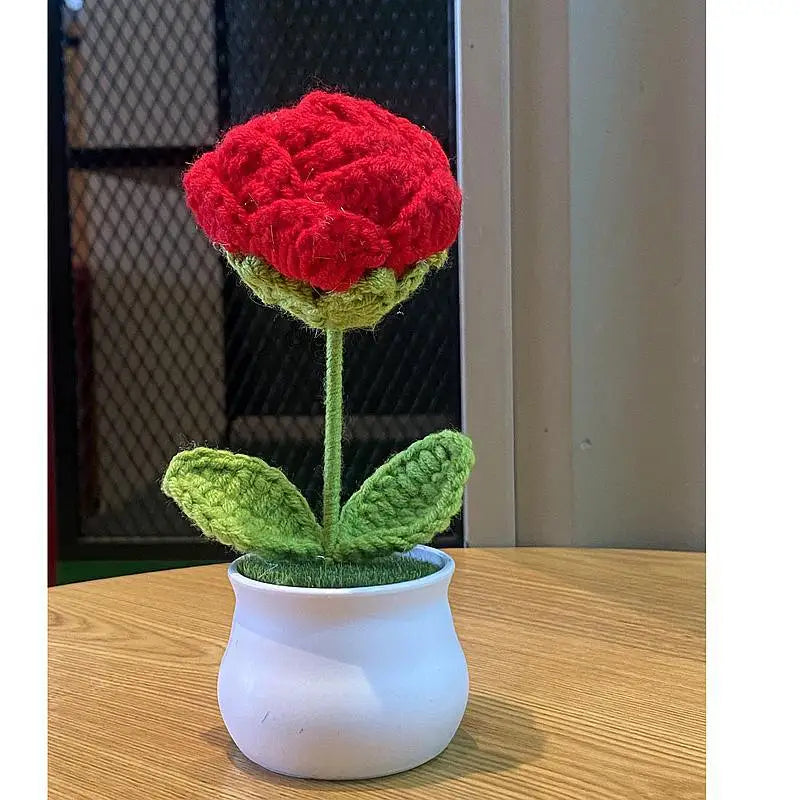 DIY Handwoven Woolen Mini Potted Flower – Cute Desk Decor & Gift
