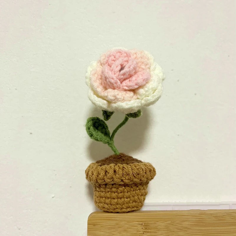 DIY Handwoven Woolen Mini Potted Flower – Cute Desk Decor & Gift