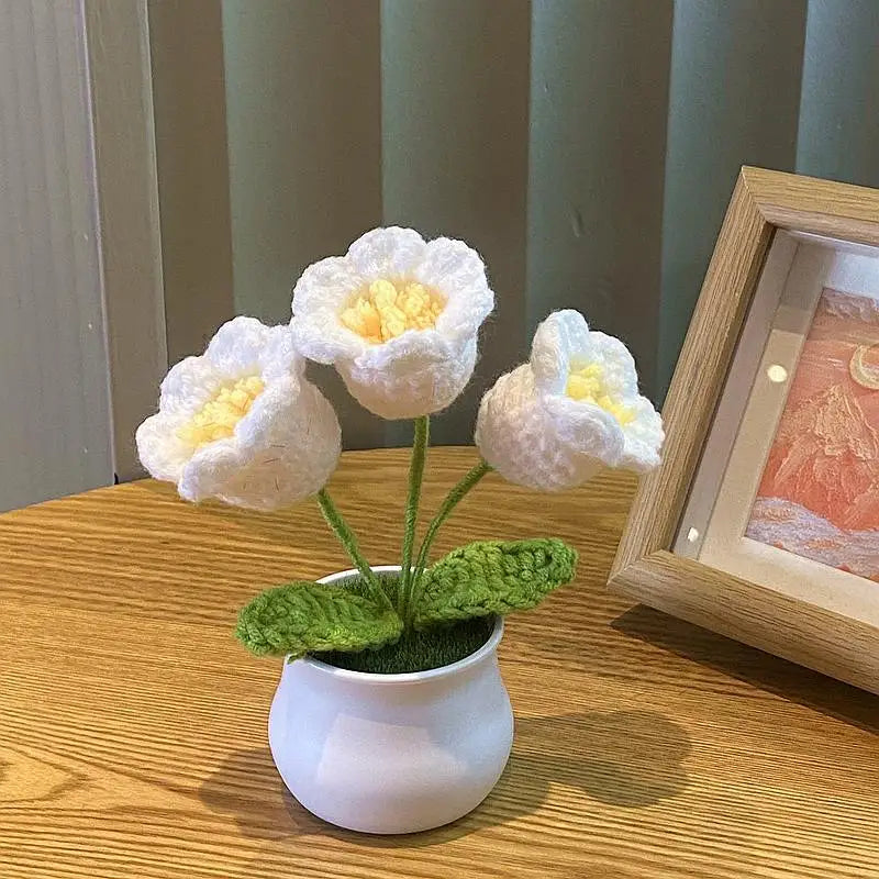DIY Handwoven Woolen Mini Potted Flower – Cute Desk Decor & Gift