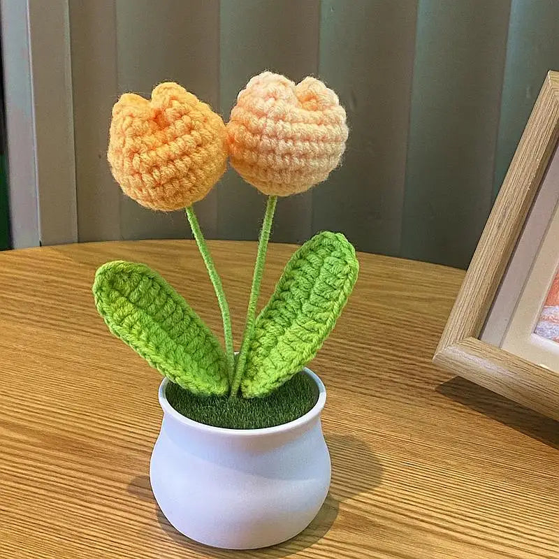 DIY Handwoven Woolen Mini Potted Flower – Cute Desk Decor & Gift