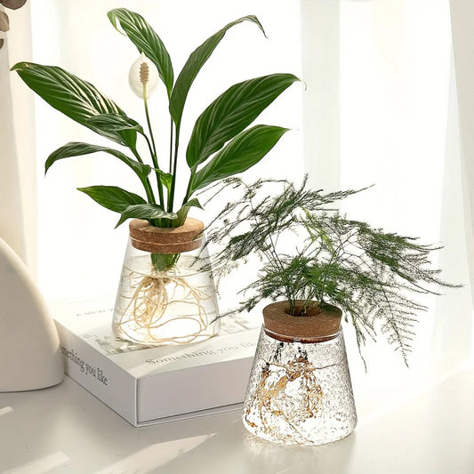 Minimalist Glass Hydroponic Planter Vase with Cork Lid – Ideal for Cuttings & Tabletop Decor