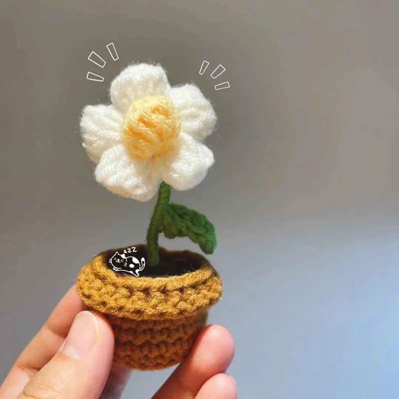 DIY Handwoven Woolen Mini Potted Flower – Cute Desk Decor & Gift