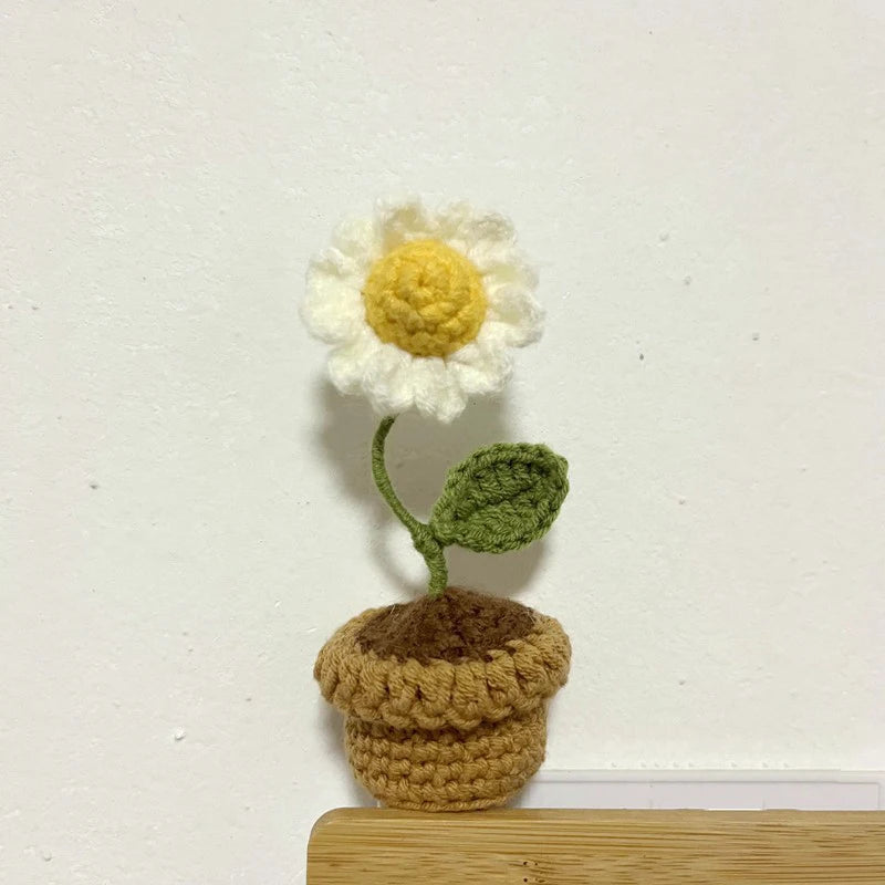 DIY Handwoven Woolen Mini Potted Flower – Cute Desk Decor & Gift