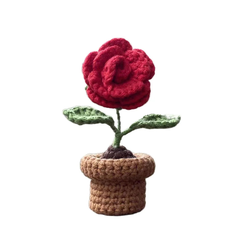 DIY Handwoven Woolen Mini Potted Flower – Cute Desk Decor & Gift