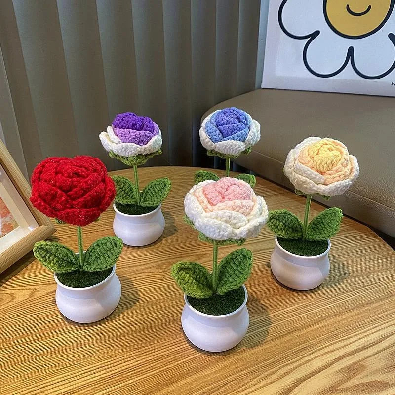 DIY Handwoven Woolen Mini Potted Flower – Cute Desk Decor & Gift
