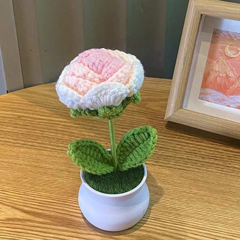 DIY Handwoven Woolen Mini Potted Flower – Cute Desk Decor & Gift