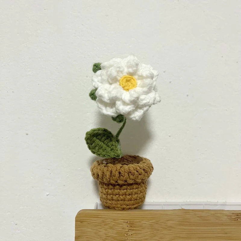 DIY Handwoven Woolen Mini Potted Flower – Cute Desk Decor & Gift